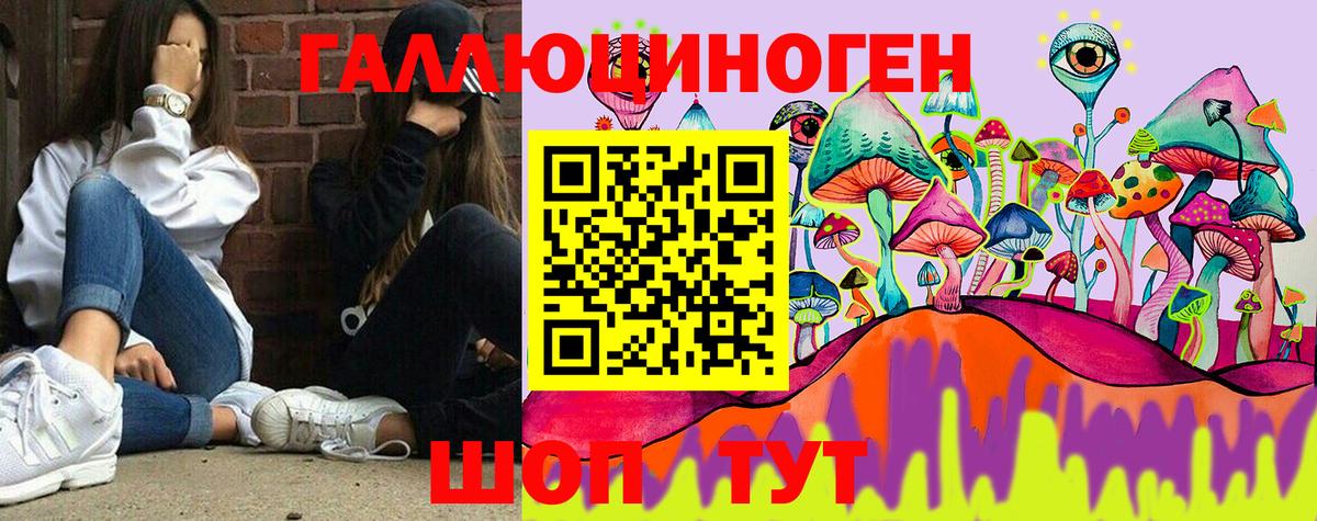 Щёлково  Псилоцибиновые грибы GOLDEN TEACHER  Вход с VPN  Псилоцибиновые грибы MAGIC MUSHROOMS 