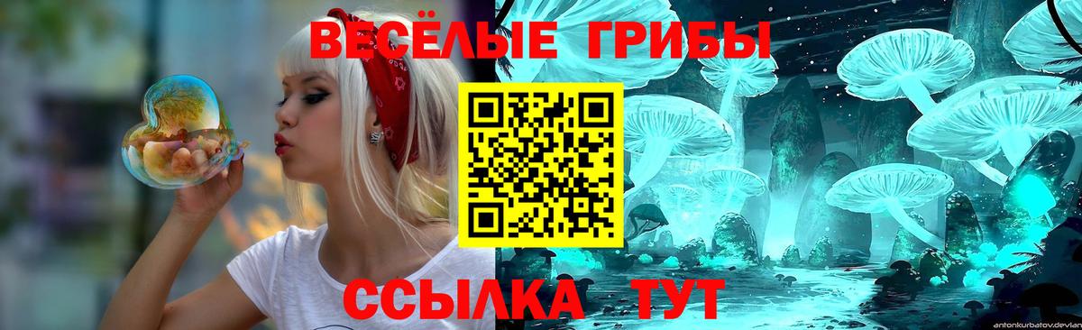 Галлюциногенные грибы Cubensis Щёлково